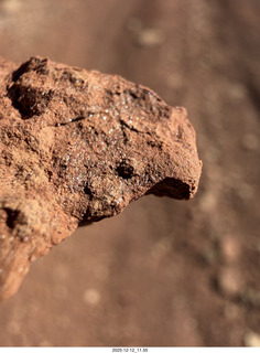 237 a2q. Utah -  Mineral Canyon hike - close-up of rock