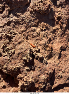 244 a2q. Utah -  Mineral Canyon hike