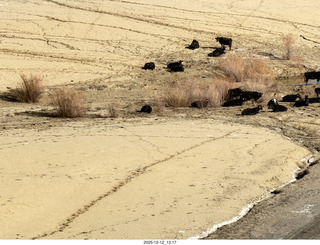 305 a2q. aerial - Utah - canyonlands