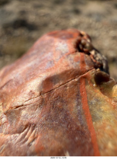 357 a2q. Utah - Hidden Splendor hike- rock close-up