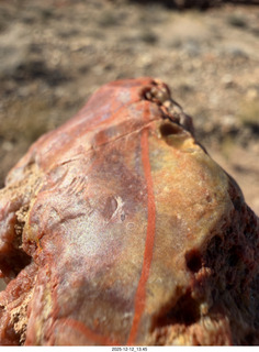 358 a2q. Utah - Hidden Splendor hike - rock close-up