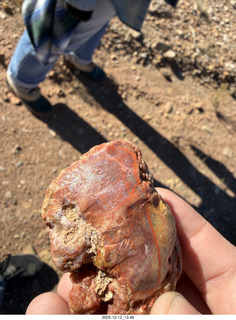 359 a2q. Utah - Hidden Splendor hike - rock close-up