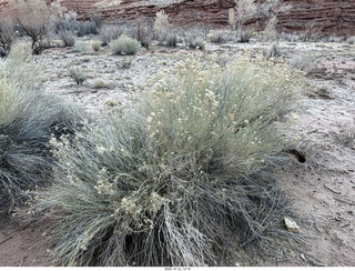 427 a2q. aerial - Utah - canyonlands