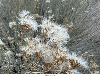 429 a2q. aerial - Utah - canyonlands