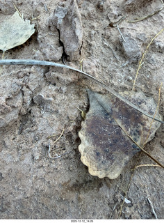 460 a2q. aerial - Utah - canyonlands