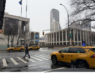 New York City - Novapetal