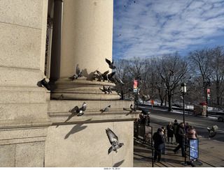 New York City - Manhattan - American Museum of Natural History