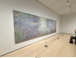 New York City - Manhattan - Museum of Modern Art (MOMA) - Monet