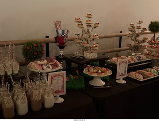 Ballet Arizona - Alice reception - photographer