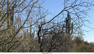 Scottsdale - Granite Mountain Hike