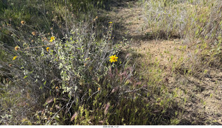 Scottsdale - Granite Mountain Hike