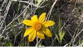Scottsdale - Granite Mountain Hike