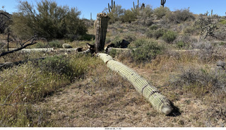 Scottsdale - Granite Mountain Hike
