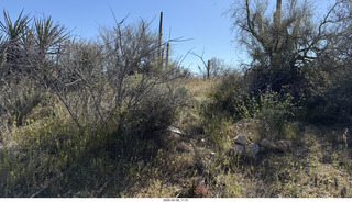 Scottsdale - Granite Mountain Hike