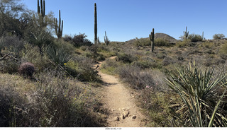 Scottsdale - Granite Mountain Hike