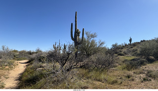 Scottsdale - Granite Mountain Hike