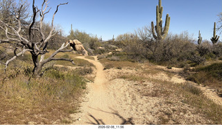 Scottsdale - Granite Mountain Hike