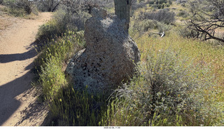 Scottsdale - Granite Mountain Hike