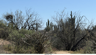 Scottsdale - Granite Mountain Hike