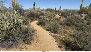 Scottsdale - Granite Mountain Hike