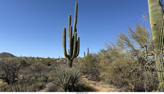 Scottsdale - Granite Mountain Hike