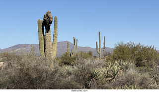 Scottsdale - Granite Mountain Hike