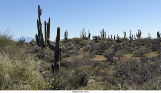 Scottsdale - Granite Mountain Hike