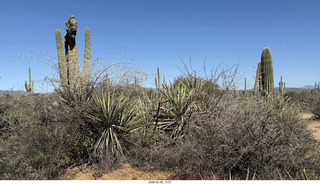 Scottsdale - Granite Mountain Hike