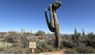 Scottsdale - Granite Mountain Hike - my veined leg