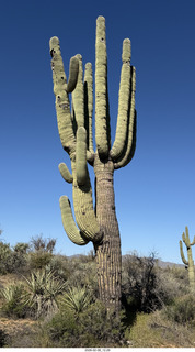 Scottsdale - Granite Mountain Hike - Adam
