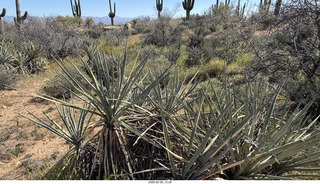 Scottsdale - Granite Mountain Hike