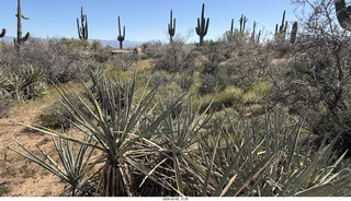 Scottsdale - Granite Mountain Hike - Adam