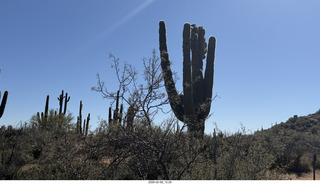 Scottsdale - Granite Mountain Hike - Adam