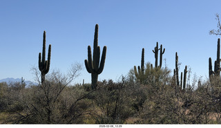 Scottsdale - Granite Mountain Hike