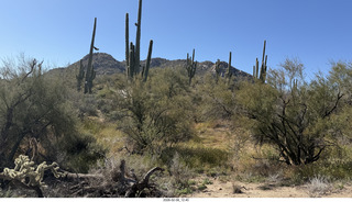 Scottsdale - Granite Mountain Hike