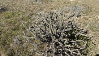 Scottsdale - Granite Mountain Hike