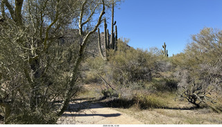 Scottsdale - Granite Mountain Hike