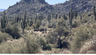 Scottsdale - Granite Mountain Hike