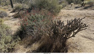 Scottsdale - Granite Mountain Hike