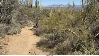 Scottsdale - Granite Mountain Hike