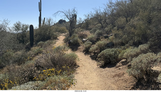 Scottsdale - Granite Mountain Hike