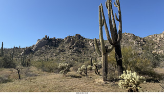 Scottsdale - Granite Mountain Hike - orange flowers
