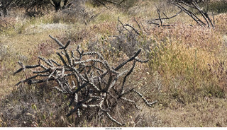 Scottsdale - Granite Mountain Hike
