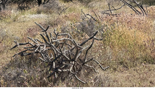 Scottsdale - Granite Mountain Hike