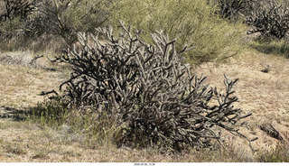 Scottsdale - Granite Mountain Hike