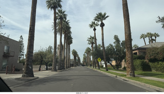Phoenix Palm Drive