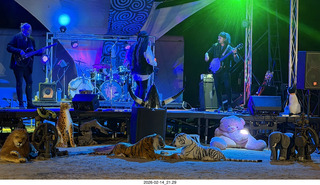 Arizona Flying Circus - night - Traveler band