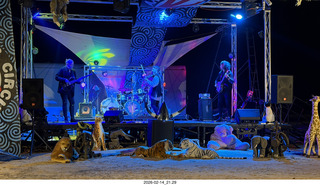 Arizona Flying Circus - night - Traveler band