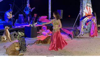 Arizona Flying Circus - night - Traveler band
