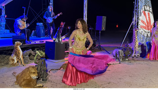 Arizona Flying Circus - night - Traveler band
